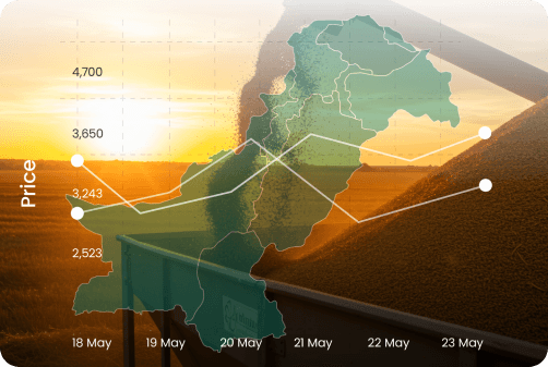Market Trend Reports