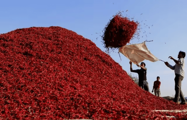 کنری: پاکستان کا مصالحوں کا دل