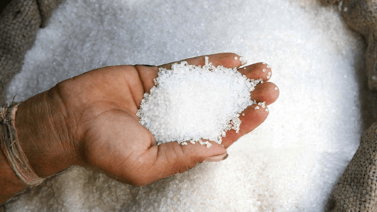 Sugarcane in Pakistan 2025–26: A Detailed Overview