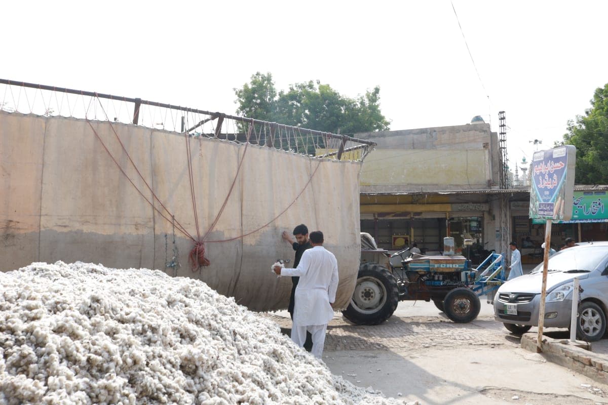 Loading a fresh cotton arrival onto a trailer