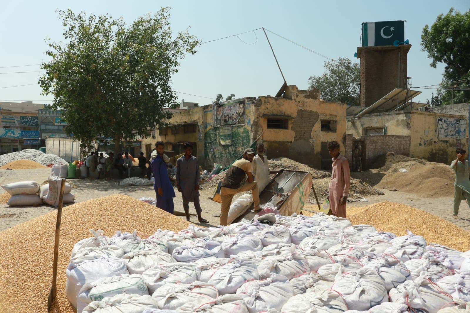 A grain market in Pakistan, sacks ready for trade