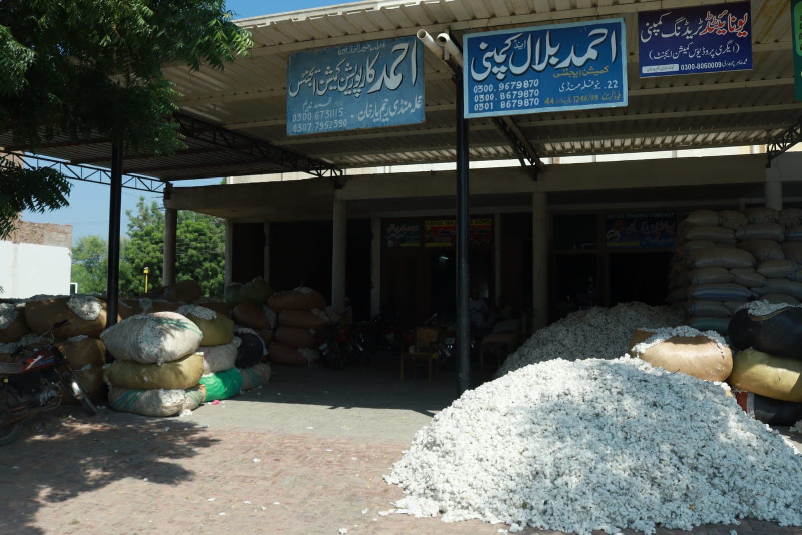 A commission agent's storefront at a grain mandi